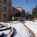 신도시북로43번길 Daum카페