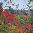 2024.10.19일 설악산 풍경 이미지