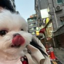 스킨앤이어동물병원 이미지