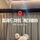 그루밍:담 | 양평 애견동반 숙소 팔레드차밍 게터웨이 | 12월 겨울여행 | 어질리티 교육 후기