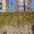 바르다김선생장위뉴타운점