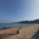 기장횟집민박 이미지