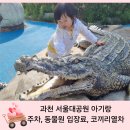 [경기]과천 서울대공원 동물원 30개월 아기랑 주말 나들이- 주차정산, 먹거리, 동선 등