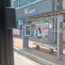 풍전쭈꾸미 | 여름이었다...☀️💦(6월 부터 현재까지)