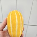 랩앤팜 네이버블로그