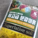 흙 | 거목산업사 최고급 분갈이흙 후기 분갈이 흙의 뉴 패러다임을 느끼다