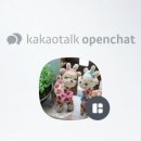 신호초병설유치원 이미지