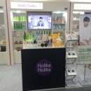 홀리카대전 이미지