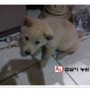 순종1농장 이미지