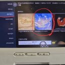 Forestella in the Skies하늘의 포레스텔라 Korean Air 🎵🛩 이미지