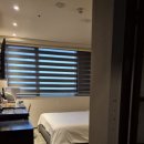 브라운도트 호텔 수영 이미지