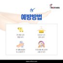 레푸스 범어점 이미지