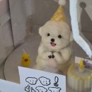 너를닮은케이크 이미지