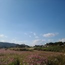 다산식당