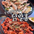 닭발홍 이미지