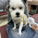 현대동물병원 이미지