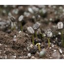 빈이농장 이미지