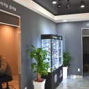 이분의일안경 이미지