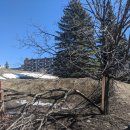 바디 앤 소울 이미지