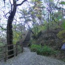 [서울] 인왕산자락길, 황학정, 서촌 늦가을 나들이 (택견수련터, 감투바위, 한양도성, 행촌동 은행나무) 이미지