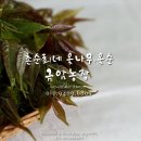 금암농장 이미지