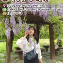 등나무민박 이미지