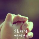 산호당약국 이미지