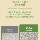 데이럽