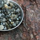 in 섬 story 이미지