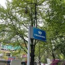 백영고등학교 앞 이미지