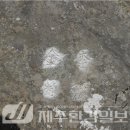 오현 이미지