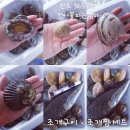 완도수산365 이미지