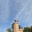 수목원 | 경상북도 수목원 벚꽃 후기