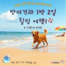 강릉관광여행사 이미지