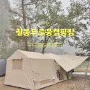 원주강건너민박 | 원주 칠봉 두루뭉캠핑장 강변뷰 6번 사이트 후기｜애견동반 가능