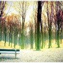 가을 숲으로 가자 이미지