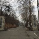 금곡목장 네이버블로그