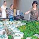 반송동247 이미지