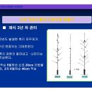 방추 Daum카페