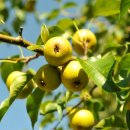 김미숙농장 이미지