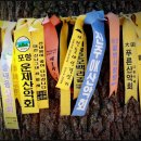 제바위세천 이미지