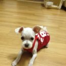 봄내병원 이미지