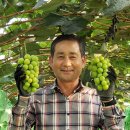 김인석 농장 이미지