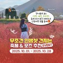 이벤트 정보 공유드려요~^^ 경기북부 3川(포천·연천·동두천) 무조건 인생샷 건지는 축제 &amp; 포즈 추천 EVENT 이미지