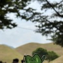 경주여행3 - 무료키링 경주시 이벤트 정보, 경주 핫플 및 주차 팁