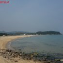 화진포 생태박물관 이미지