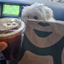 펫지살롱 이미지