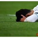 알크마르 이미지