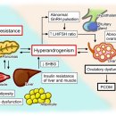 혜민한의원 이미지