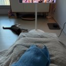 베스트힐링약국 이미지